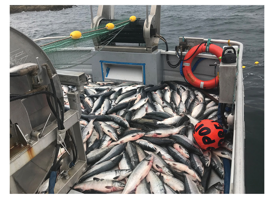 pointbreak1__1658661540